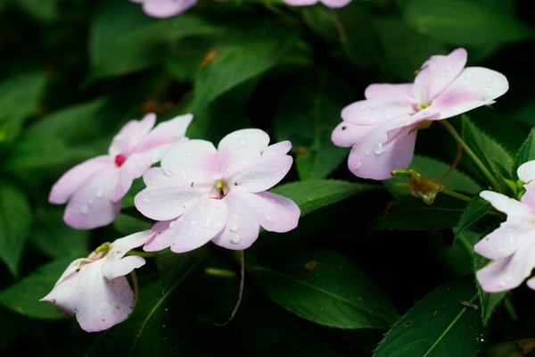 Conseils Infaillibles pour Dénicher l'Appartement de Location Parfait
